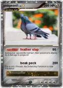 pidgeon!!