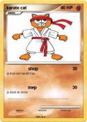 karate cat