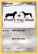 whiphound