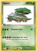 Torterra