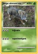 berger allemand