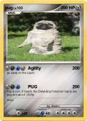 pug