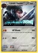Cybotic Raiden