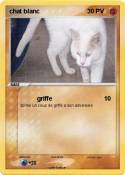 chat blanc