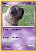 mastiff