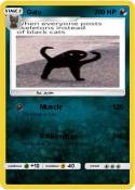 Gato