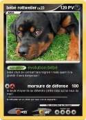 bébé rottweiler