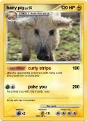 hairy pig