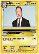 Pim tIM