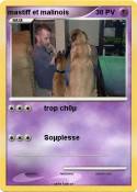 mastiff et mali
