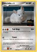 Chinchilla