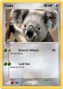 Koala