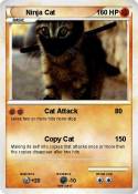 Ninja Cat
