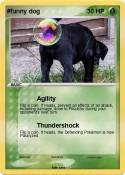 #funny dog