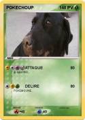 POKECHOUP
