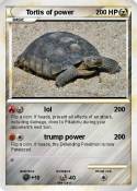 Tortis of power