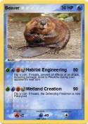 Beaver