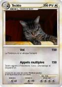 Teckto
