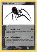spider widow