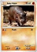 Baby Hippo