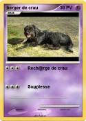 berger de crau