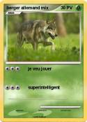 berger allemand