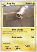 Toby dog