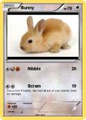 Bunny