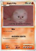 Angry Kitty