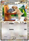 puppy+bunny