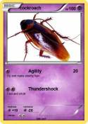cockroach