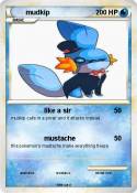 mudkip