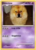 chow-chow