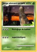 berger allemand