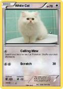 White Cat
