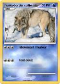 husky-border
