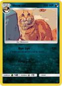 Meow cat