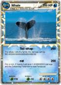 Whale