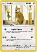 Shiba