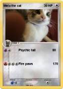 Mela the cat