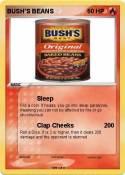 BUSH'S BEANS
