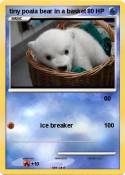 tiny poala bear