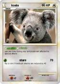 koala