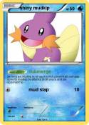 shiny mudkip