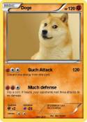 Doge