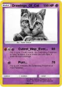 Drawings_Of_Cat