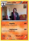 matteo potter