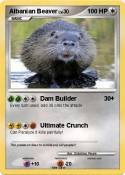 Albanian Beaver
