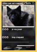 chien noir est