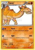 Camel
